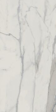 Statuario Matte 60х120