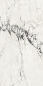 Michelangelo glossy 90x180