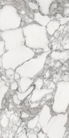 Luxury Stone SS12046 Pol 60x120