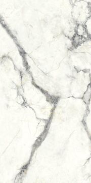 Charme Invisible Grey 60x120