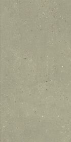 Geology Salvia 60x120