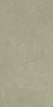 Geology Salvia 60x120