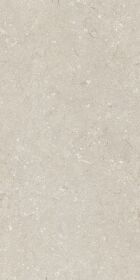 Shellstone Beige 60x120