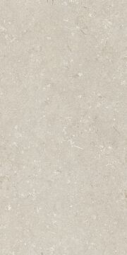 Shellstone Beige 60x120