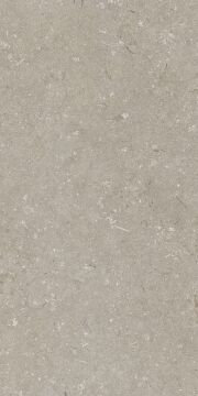 Shellstone Taupe 60x120