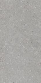 Shellstone Grigio 60x120
