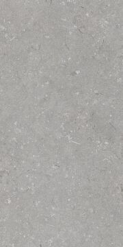Shellstone Grigio 60x120