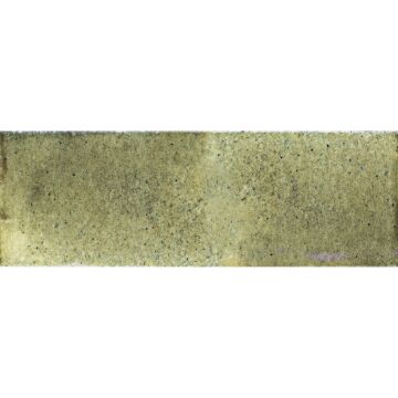 Jazz Olive