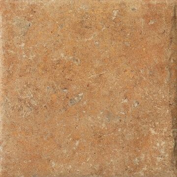 Cotto Dorato 20x20