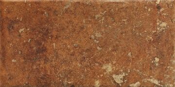 Cotto Dorato 20x40