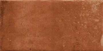 Cotto Dorato 10x20
