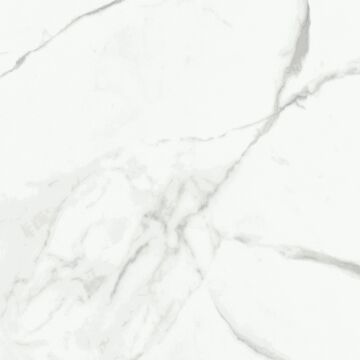 Dalim White 60x60