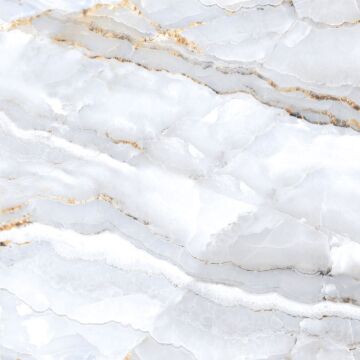 Joie Silver 60x60