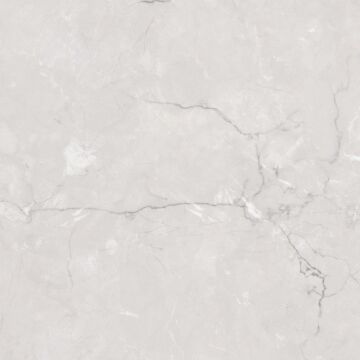 Miracle Silver 60x60