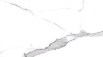 Salvatore 60x120