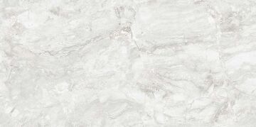 RIZI SILVER CARVING 60x120