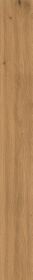 Natural Amber Oak 9,5 mm AX5X