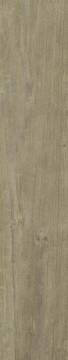 Quercus Antico Matt Rect