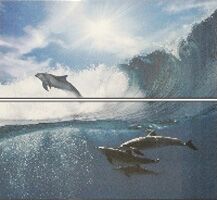 Fresh Goa Acuario 2 дельфины