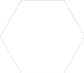 Basic Hexagon White