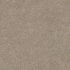 Light Stone 25х50 Taupe