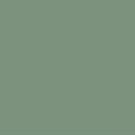 D28-1Ch Light Green