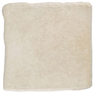 TF06 Branco