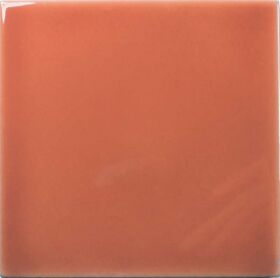 126994 Square Coral