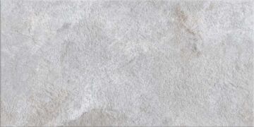 Iconic Grey 60x120