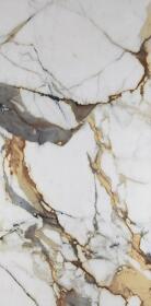 Vega Gold Polished Rec. 60х120