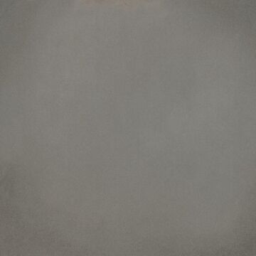 World Parks Barnet Gris 31,6x31,6