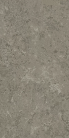 Marvel Meraviglia Grigio Elegante Matt 60x120